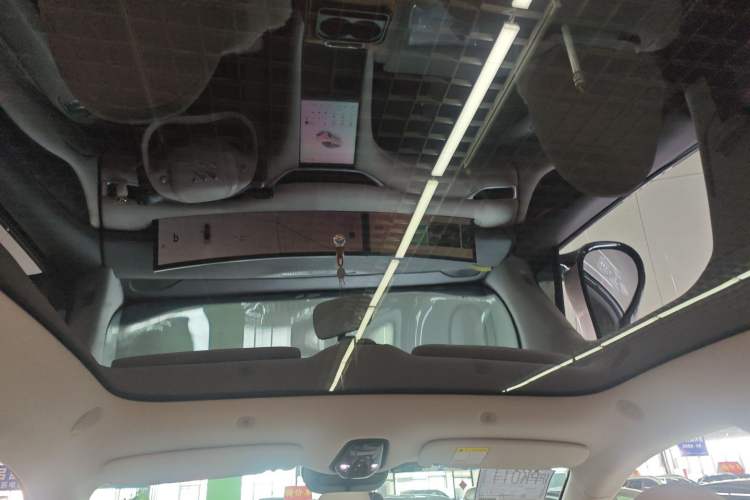 Used  LS6 2023 Max Standard Edition
