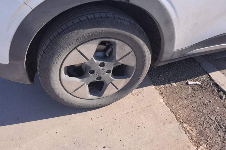 Used  Geome 2025 UP 410km Exploration Edition
