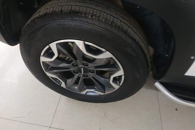 Used Haval DARGO 2024 2.0T DCT Chinese Rural Dog Edition
