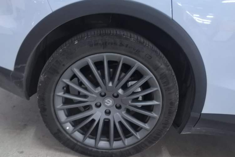 Used Leapmotor C11 2023 Pure Electric 500 Comfort Edition
