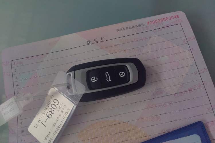 Used  Panda 2024 Panda Mini 200km Endurance Bear