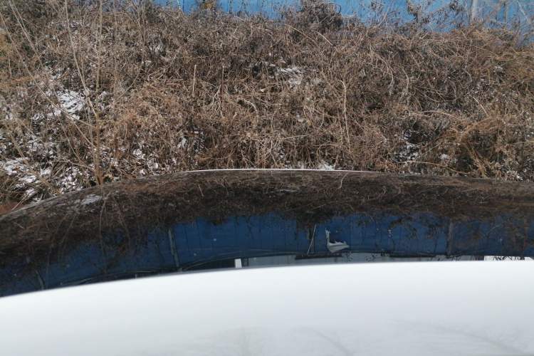 Used Leapmotor B10 2025 510 Joyful Edition