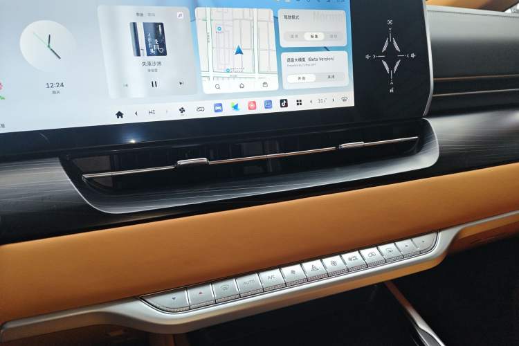 Used Wey Gaoshan 2023 Two-Wheel Drive Deluxe Edition