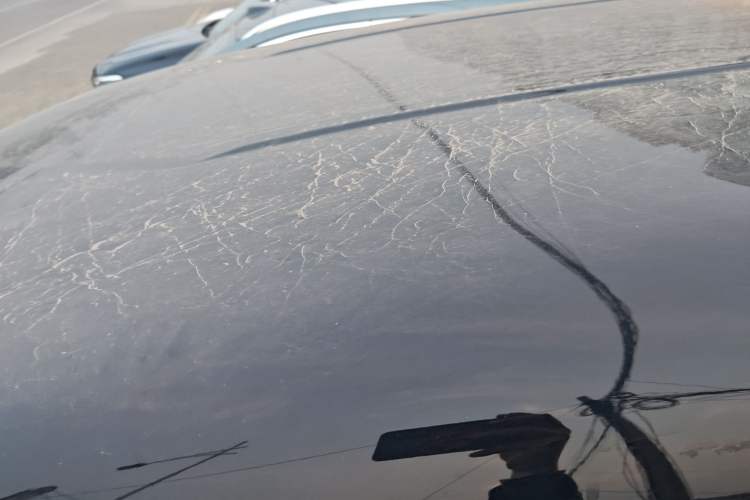 Used FORTHING Lingzhi 2023 M5L 1.6L Base Model 7 Seats