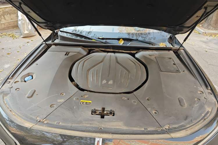 Used Hongqi H9 2020 2.0T Smart Connect Flagship Edition
