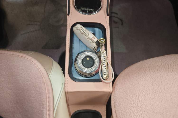 Used  Panda 2023 Panda Mini 200km Endurance Bear
