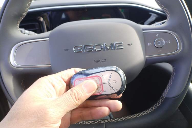 Used  Geome 2025 310km Youth Edition
