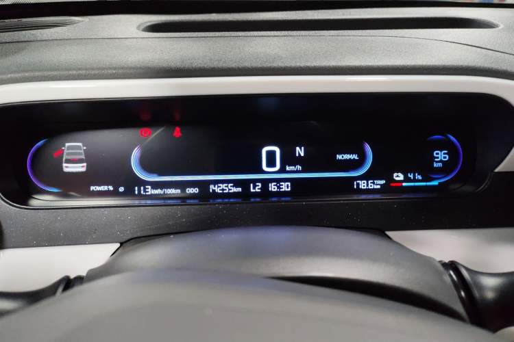 Used  Panda 2025 210 km – Yuanqi Bear