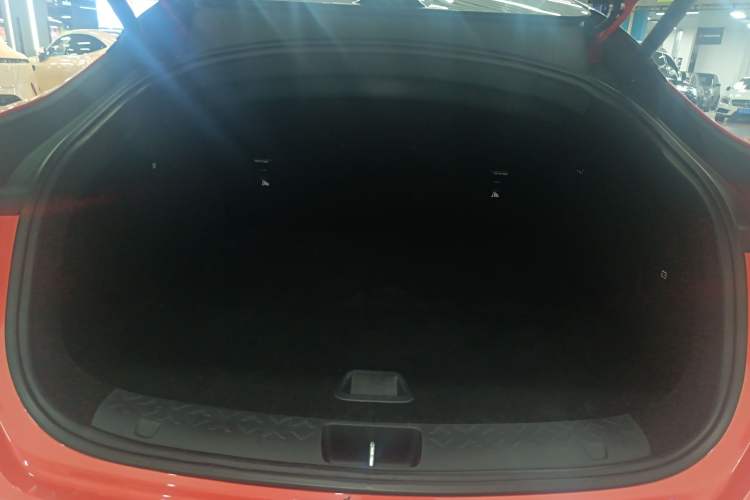 Used  06 2025 Ultra Pure Electric Edition