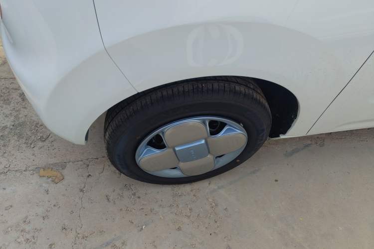 Used  Panda 2024 Panda Mini 200km Endurance Bear