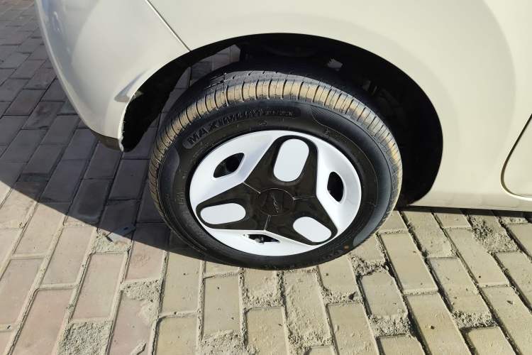 Used  Panda 2025 210 km – Yuanqi Bear
