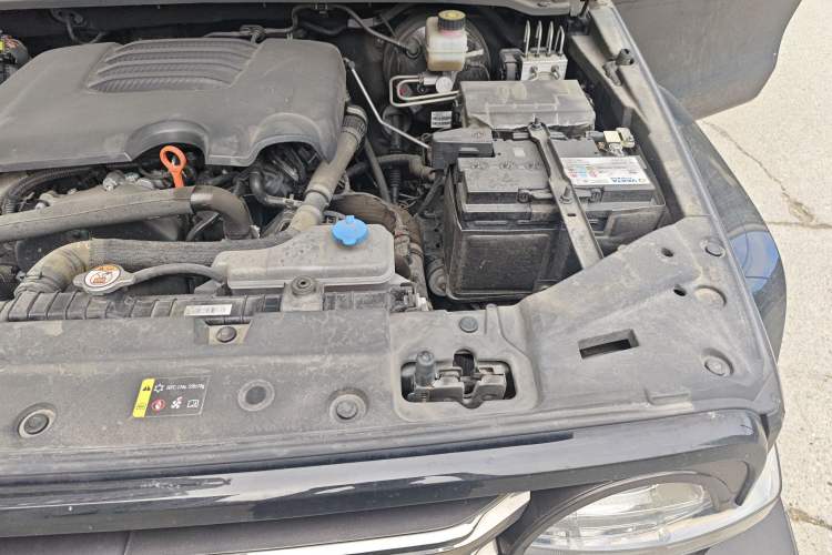 Used Tank 300 2023 City Edition 2.0T—Stylish as Ever