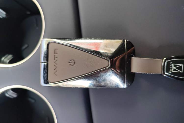 Used  07 2024 Max Extended-Range Edition
