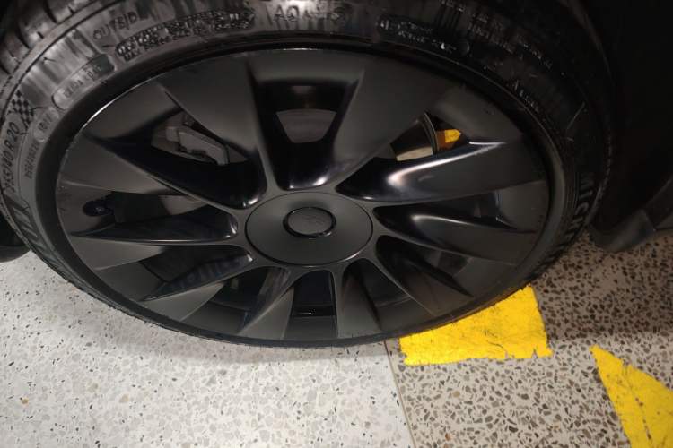 Used Tesla Model Y 2021 Standard Range Rear-Wheel Drive Version
