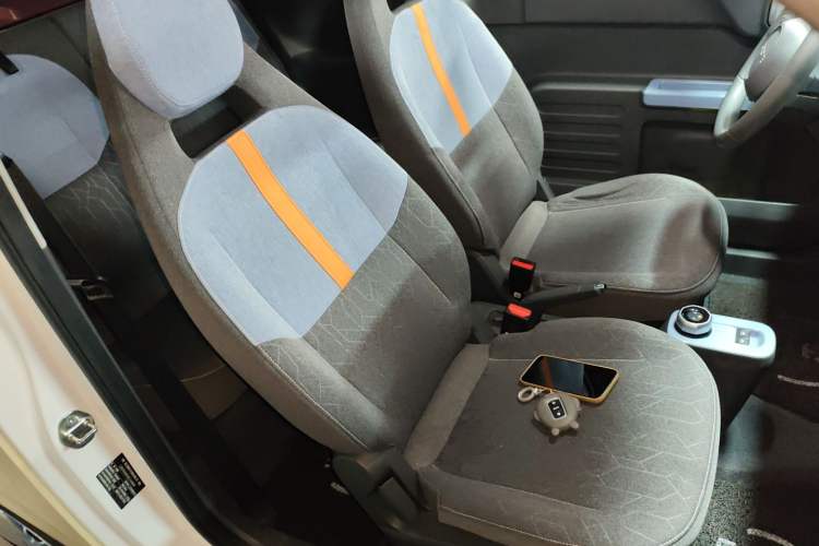 Used  Panda 2024 Panda Mini 200km Endurance Bear
