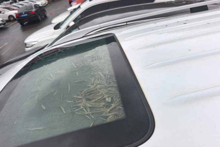 Used SWM X3 2017 1.5T Manual Fashion Model