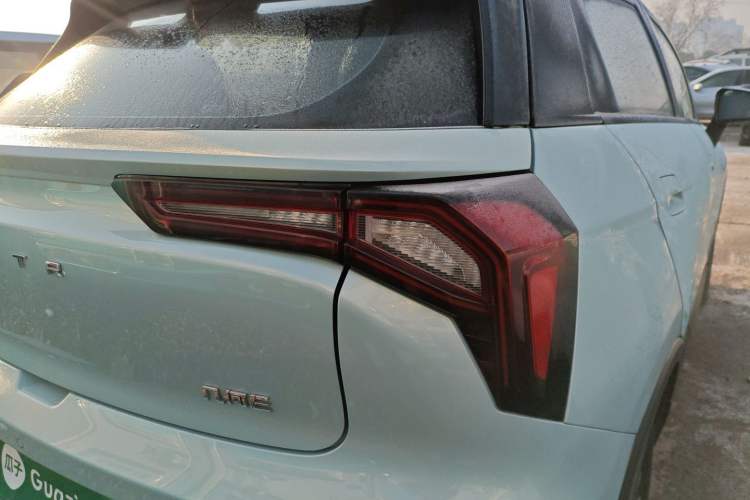 Used Geometry E Firefly 2022 401 km Linglong Tiger 4 Seats
