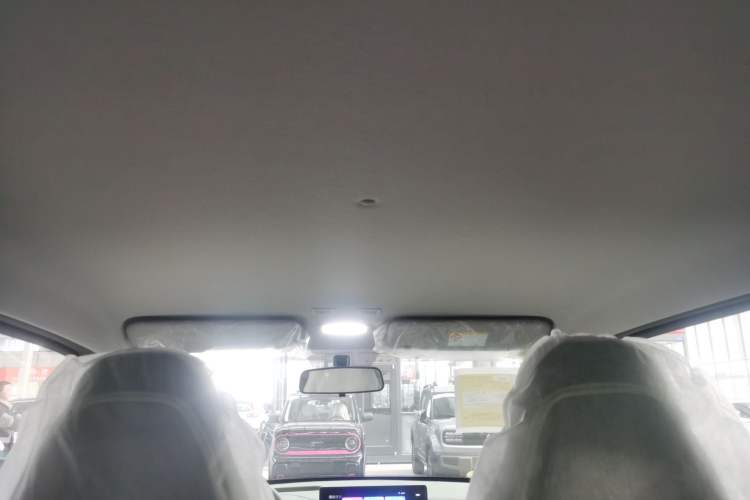 Used  Panda 2025 210km Panda Rider
