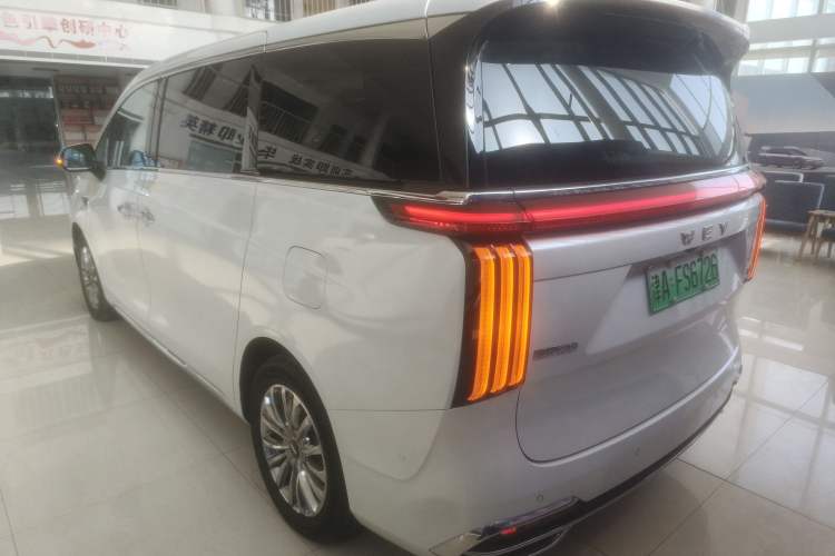 Used Wey Gaoshan 2023 Four-Wheel Drive Flagship Edition