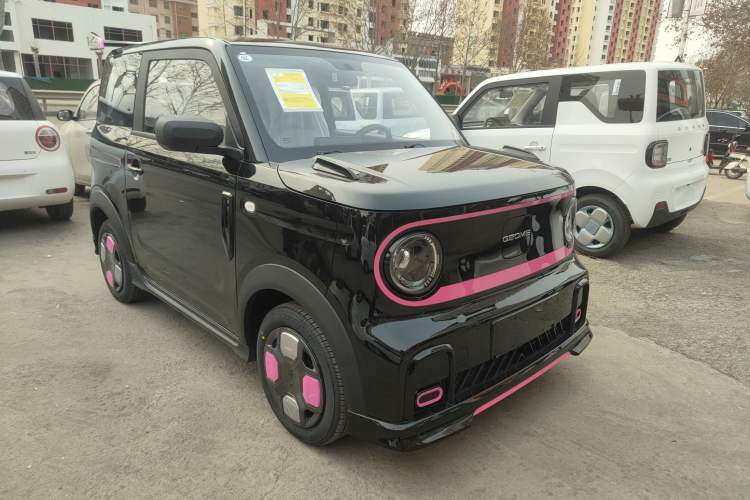 Used  Panda 2025 210km Panda Kart
