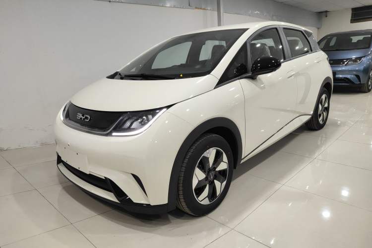 Used BYD Dolphin 2025 420km Free Edition
