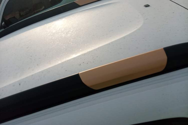 Used Dongfeng NAMMI EX1 2021 Zhi Ling Version