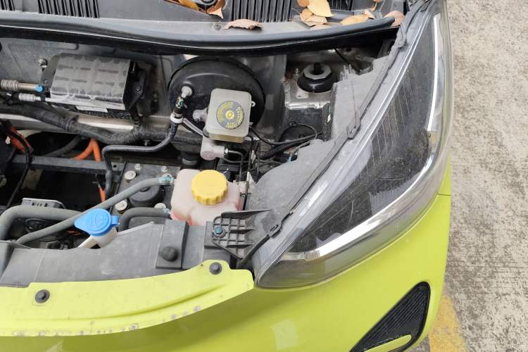 Used Chery Little Ant 2024 Facelifted 321km Beloved Edition
