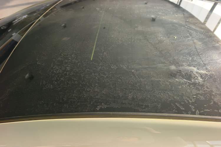 Used BYD Dolphin 2025 420km Free Edition