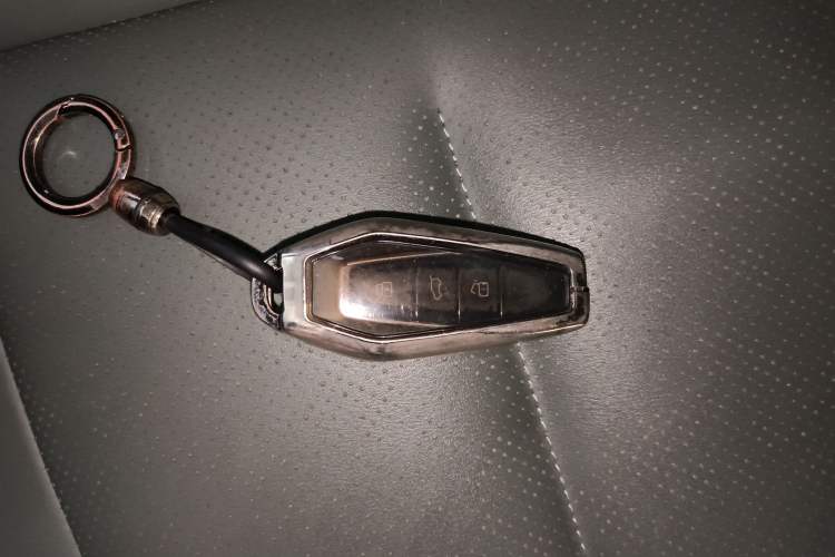 Used  03 2024 501km Two-Wheel Drive Long-Range Version