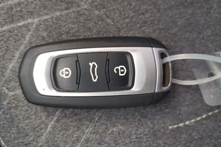 Used  Panda 2024 Panda Mini 200km Endurance Bear
