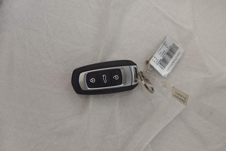 Used  Panda 2025 210 km – Yuanqi Bear