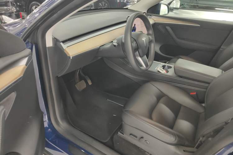 Used Tesla Model Y 2021 Standard Range Rear-Wheel Drive Version
