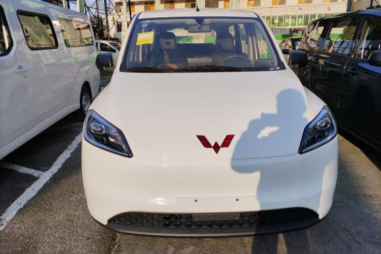 Used Wuling Hongguang New Energy 2024 All-Electric Model 300KM Standard Version