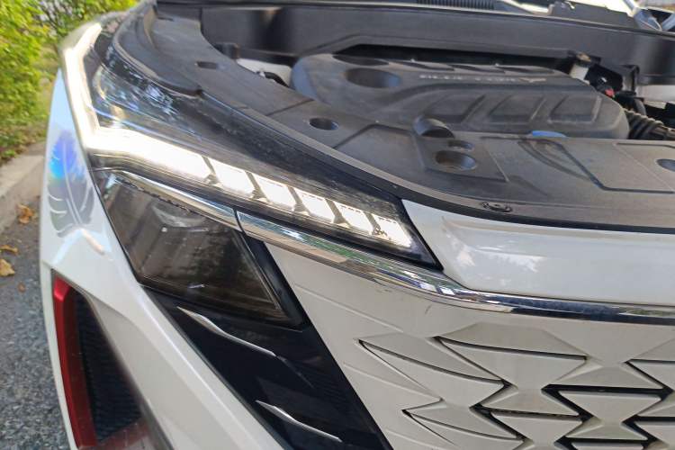 Used Oshan Z6 2022 Blue Whale 1.5T DCT Luxury Model
