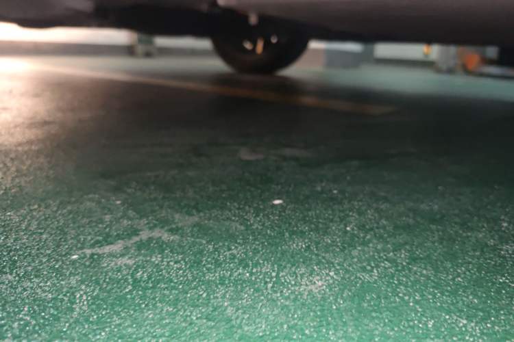 Used ORA Black Cat 2022 405 km Long-Range Version Ternary Lithium
