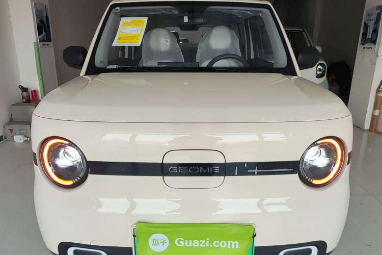 Used  Panda 2025 210 km – Yuanqi Bear
