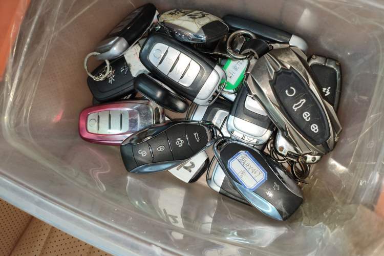 Used Hongqi H9 2024 2.0T Qixiang Luxury Business Edition