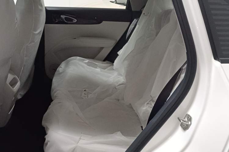 Used  Geome 2025 310km Youth Edition
