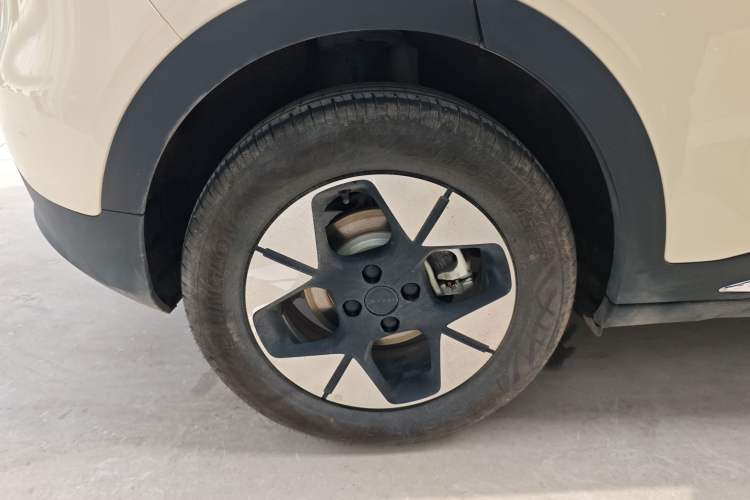 Used  Geome 2025 UP 410km Exploration Edition
