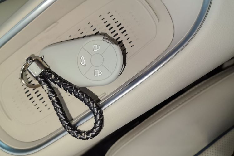 Used ORA Good Cat 2023 401 km Standard Range Premium Version Lithium Iron Phosphate