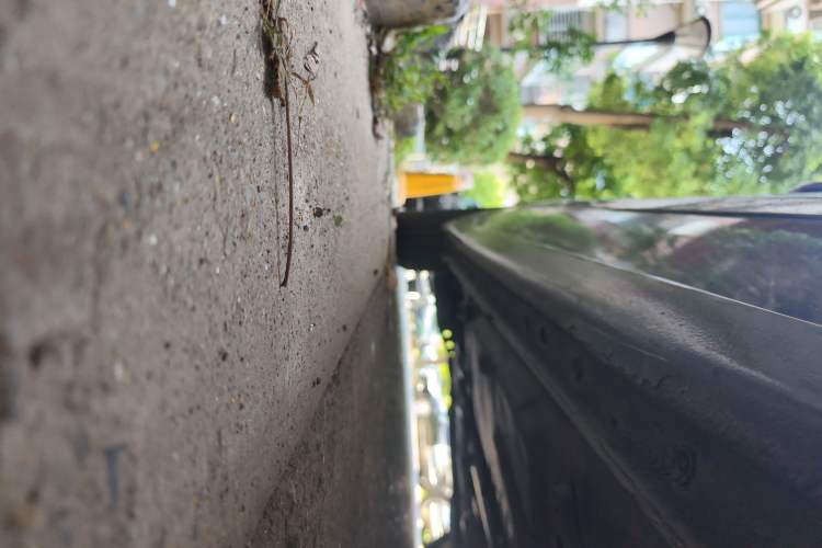 Used Buick LaCrosse 2016 28T Elite Edition
