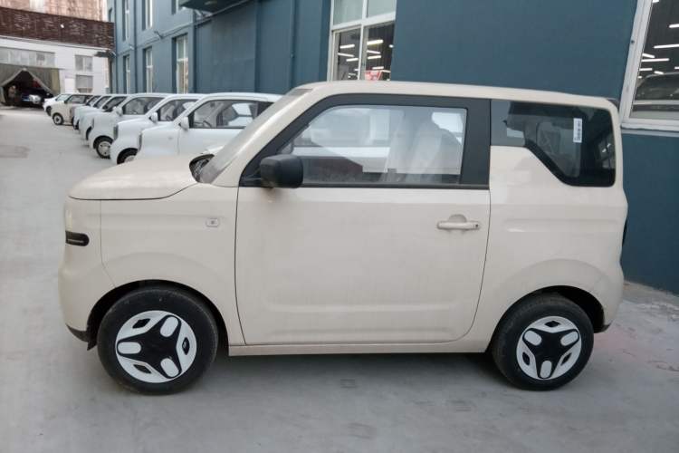Used  Panda 2025 210 km – Yuanqi Bear