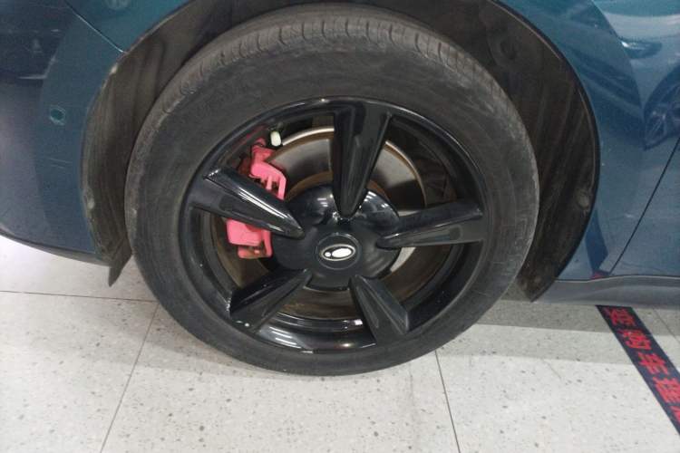 Used ORA Good Cat 2022 Morandi Edition 400km Standard Range Premium Version Lithium-Ion Battery