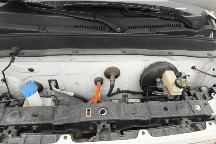 Used  Panda 2023 Panda Mini 120km Cute Bear
