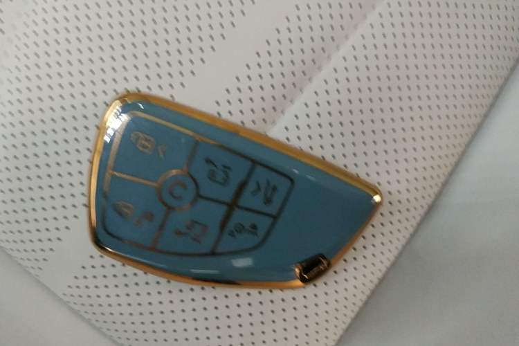 Used Buick GL8 New Energy 2024 Lu Zun Luxury Edition 7-Seater
