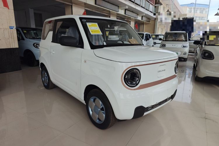 Used  Panda 2024 Panda Mini 200km Endurance Bear