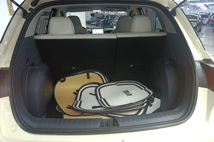 Used  Geome 2025 310km Youth Edition
