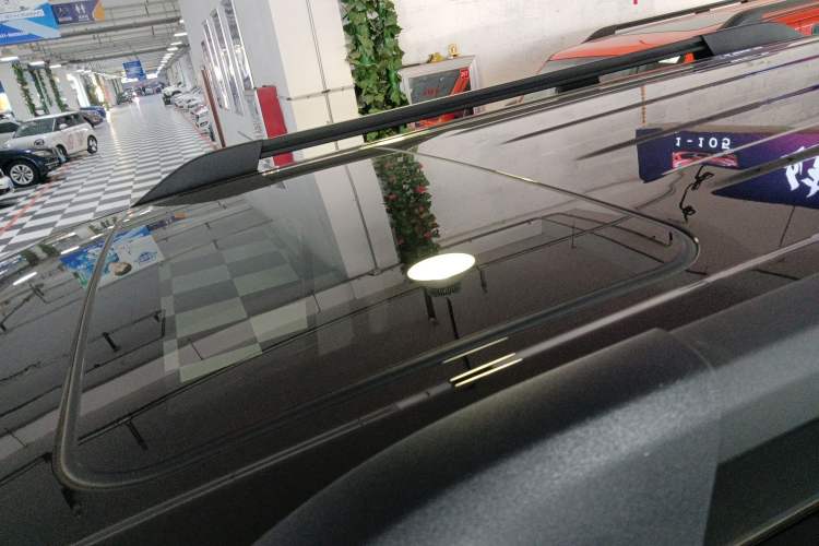 Used Tank 300 2024 2.0T Conqueror