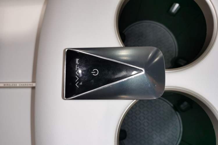 Used  06 2025 Pro Range-Extended Edition
