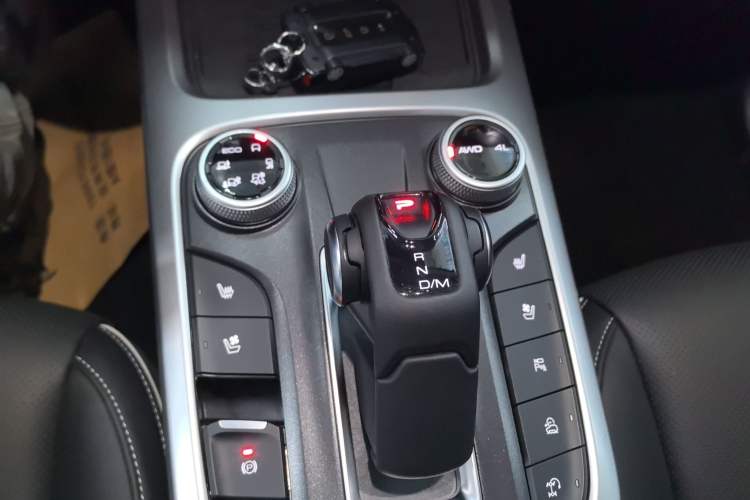 Used Tank 300 2024 2.0T Crosser
